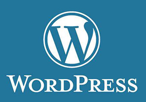 解决谷歌被和谐导致的WordPress速度缓慢问题